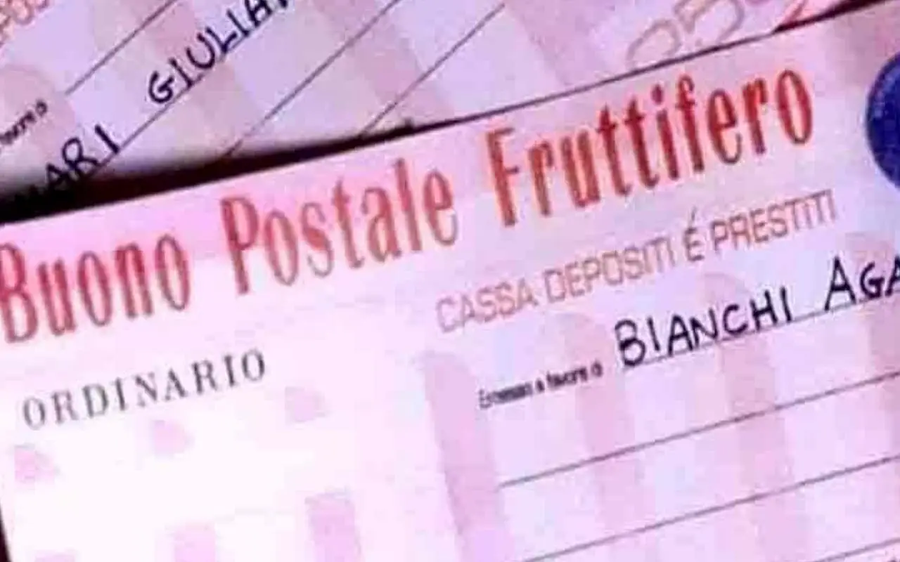 Immagine selezionata