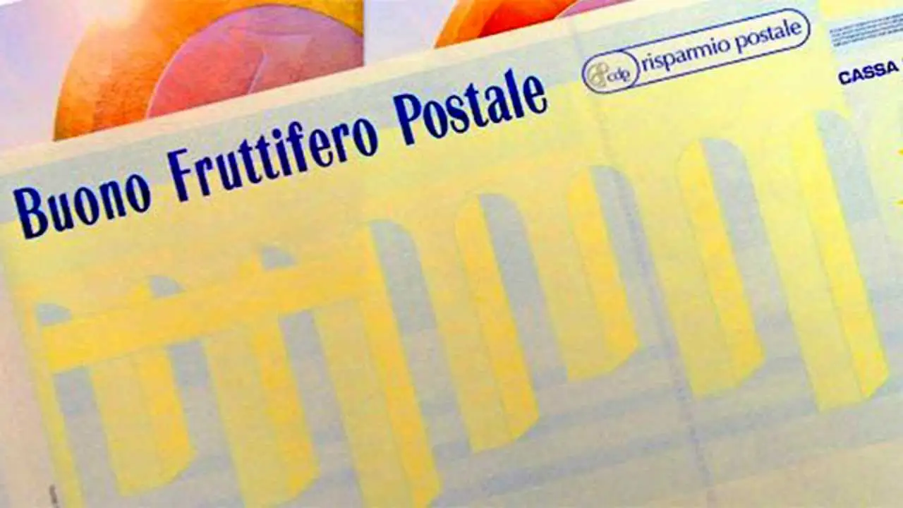 Immagine selezionata